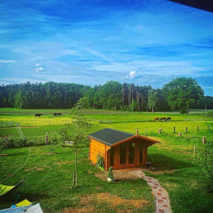 Wunderschoene Ferienwohnung Auf Dem Bauernhof Ґревен Екстер'єр фото